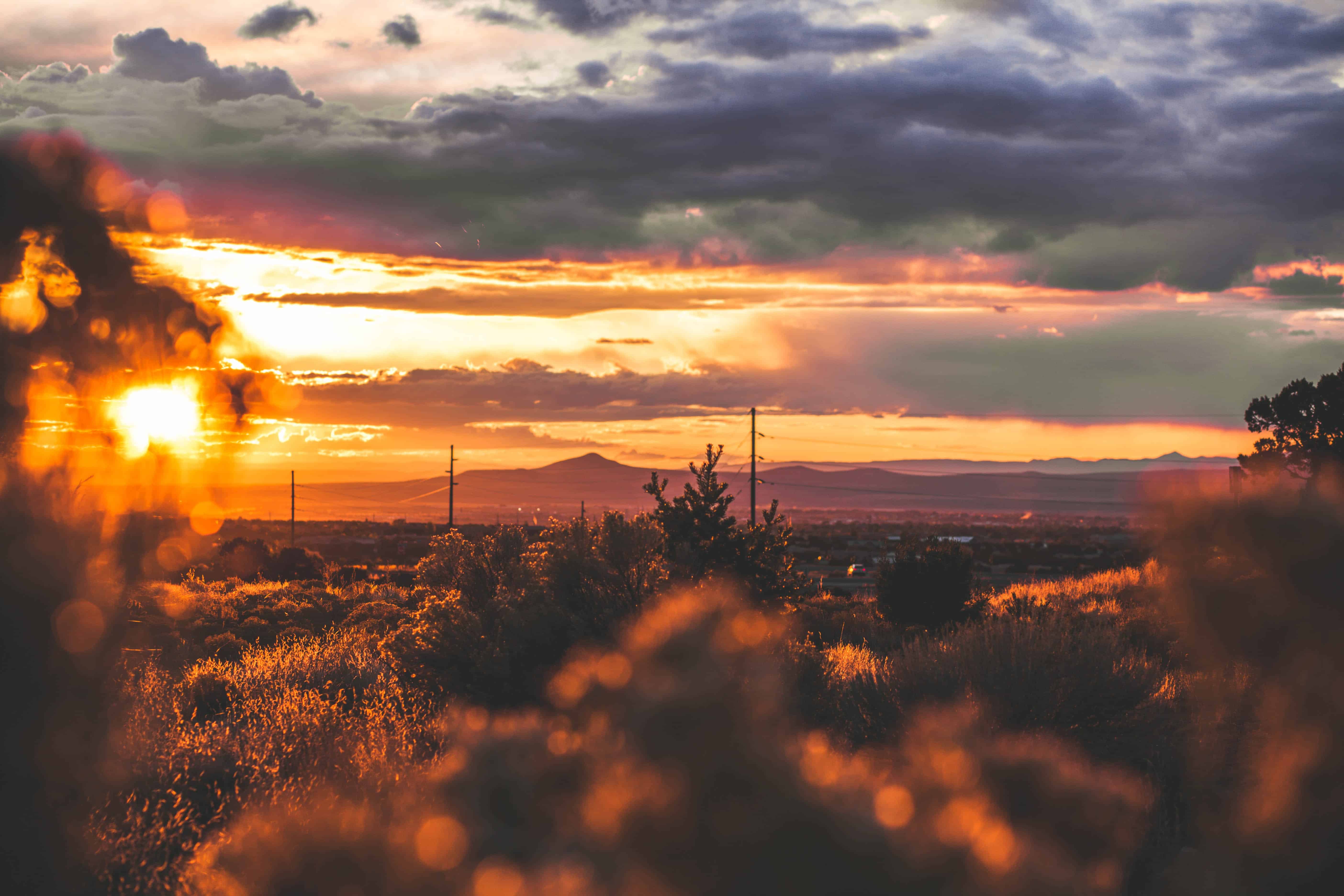 Sunset in the desert with plants and clouds